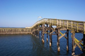 Boardwalk at Westport, WA